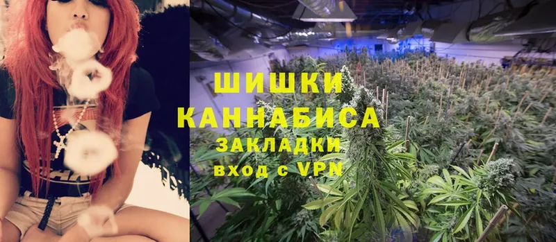 Бошки Шишки White Widow  Богданович 